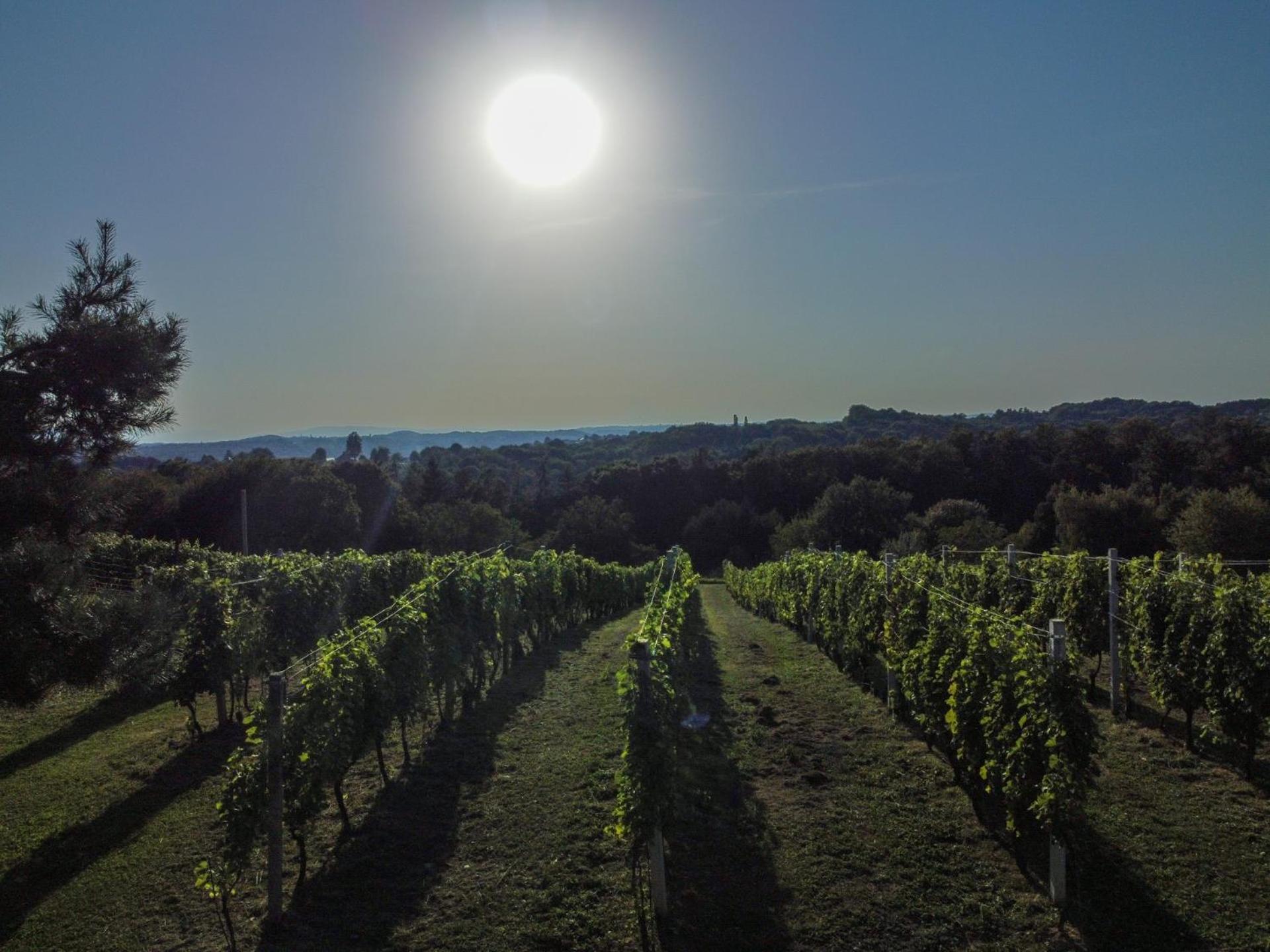 Pocitniska Hisa Soncni Vrh Villa Spodnji Ivanjci Exterior foto