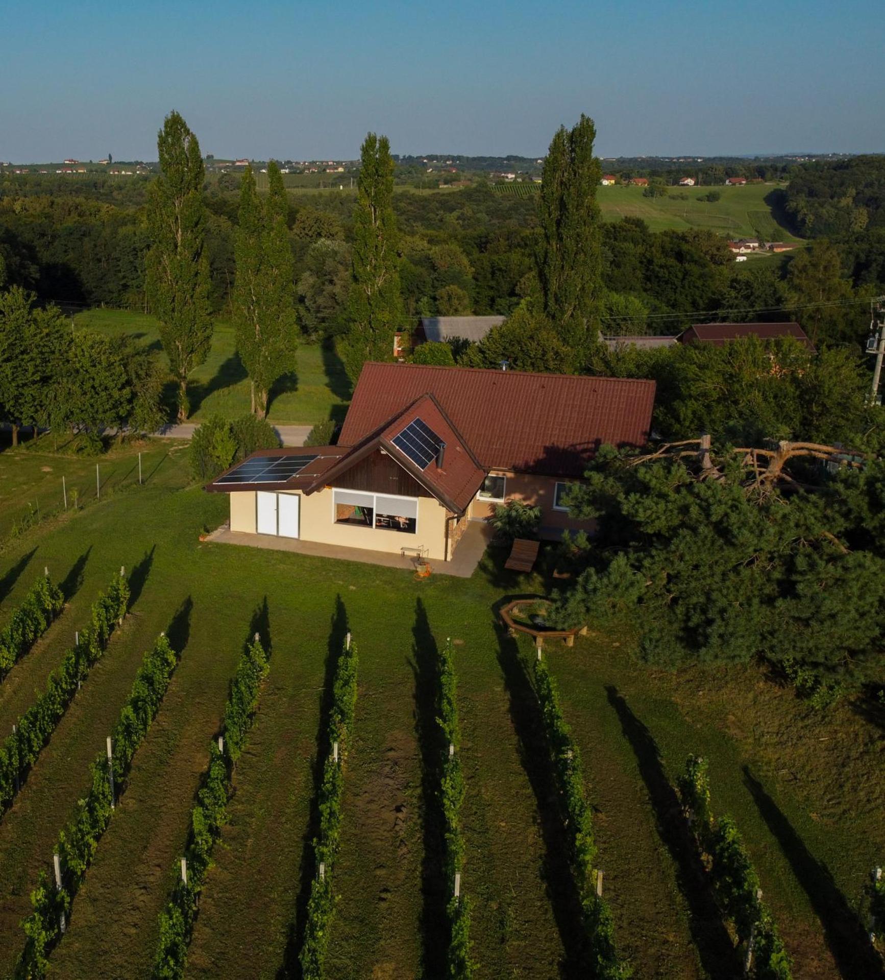 Pocitniska Hisa Soncni Vrh Villa Spodnji Ivanjci Exterior foto